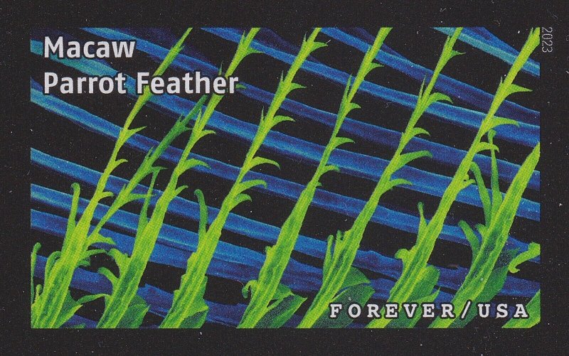 US 5802v-5802ao Life Magnified imperf NDC set (20 stamps) MNH 2023