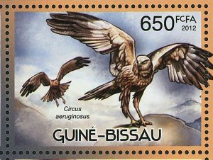 Birds of Prey Stamp Falco Peregrinus Haliaeetus Pelagicus S/S MNH #6077-6080