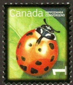 Canada 2234 - Mint-NH - 1c Convergent Lady Beetle (2007)