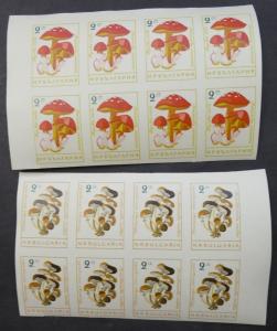 EDW1949SELL : BULGARIA 1961 Scott #1183-90 Mushrooms 8 Cplt Imperf sets VF MNH.