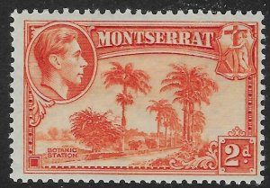 MONTSERRAT SG104 1938 2d ORANGE p12 MTD MINT