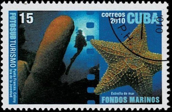 2010 Cuba Scott Catalog Number 5070 Used