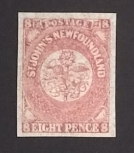 Newfoundland 22 VF MNH