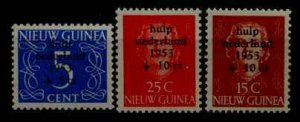 Netherlands New Guinea B1-3 MH SCV30