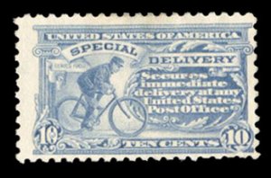 United States, Special Delivery #E9 Cat$190, 1914 10c ultramarine, hinged, thin