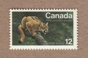 Eastern COUGAR = ENDANGERED WILDLIFE = Canada 1977 # 732 MNH