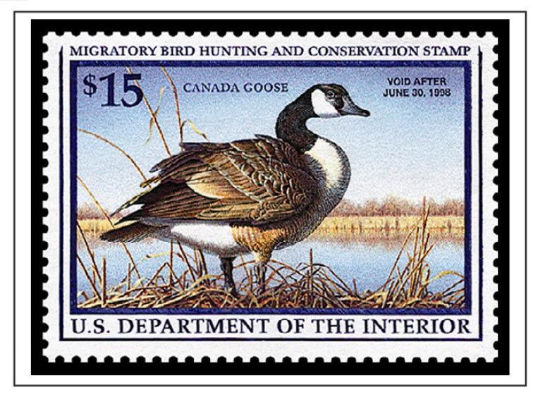 COLOR PRINTED USA FEDERAL DUCK 1934-2019 STAMP ALBUM PAGES (45 illustr. pages)