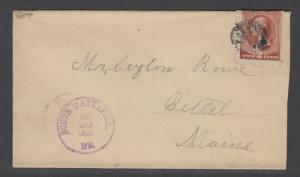 #210 2c Washington with 1885 South Waterford Fancy Cancel