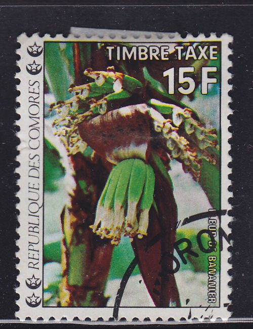 Comoro Islands J10 Flowers 1977