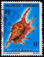 French Polynesia SG#270 Used - 1978 31f.  - Shells