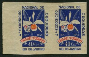 BRAZIL #652 MINT IMPERF PAIR