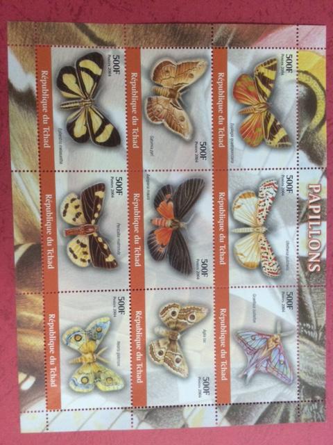 Chad 2004 Butterfly Insect Animal Papillon Nature Stamps MNH
