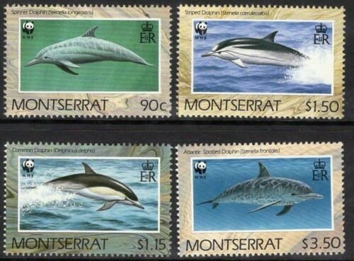 MONTSERRAT SG833/6 1990 DOLPHINS MNH 