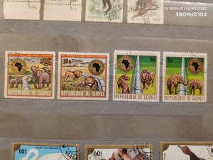 1975	Guinea	animals (F4)