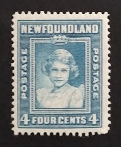 Newfoundland 256 F-VF MNH