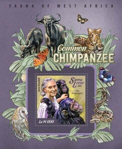 SIERRA LEONE - 2015 - Common Chimpanzees - Perf Souv Sheet -Mint Never Hinged