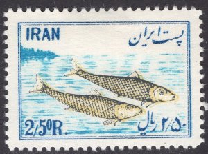 IRAN SCOTT 986