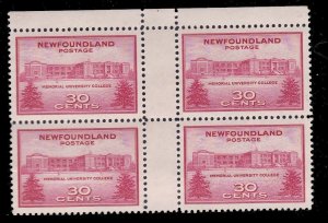 Newfoundland 267