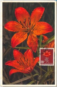 57293 - SWITZERLAND - POSTAL HISTORY: MAXIMUM CARD 1945 - FLOWERS - RARE!-