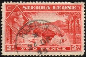 SIERRA LEONE 1955 GVI 2d PUJEHUN cds.......................................46535