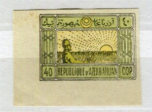 AZERBAIJAN; 1920s early pictorial regional Imperf issue Mint Marginal value