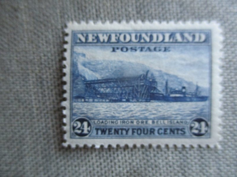Newfoundland, Scott# 210, MNH