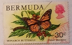 Bermuda 373