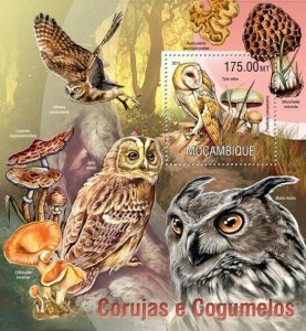 2013 MOZAMBIQUE MNH. OWLS AND MUSHROOMS    |  Scott Code: 2937