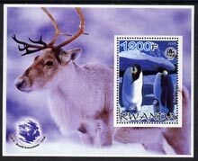 RWANDA - 2005 - Penguins, Moose #1 - Perf Min Sheet - MNH-Private Issue