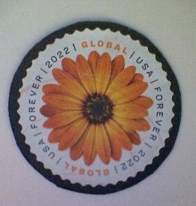 United States, Scott #5680, used(o), 2022, Global Mail,  African Daisy ($1.30)