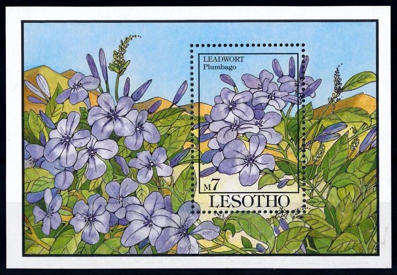 [67359] Lesotho 1993 Flora Flowers Blumen Souvenir Sheet MNH