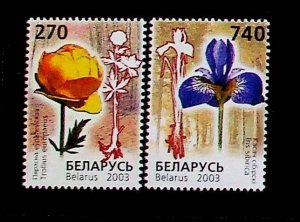 BELARUS Sc 470-1 NH ISSUE OF 2003 - FLOWERS - (OJ25)