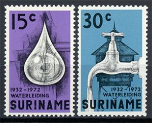 Suriname 395-396 MNH