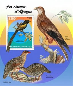 Togo - 2021 African Birds, Montane Widowbird - Stamp Souvenir Sheet - TG210410b