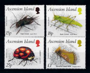 [70658] Ascension 1988 Insects Cricket Ladybird  MNH