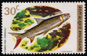 Rwanda 1973 Little triggerfish African Fish 30c Scott.542 MNH