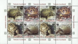 Armenia MNH** 2007 WWF. Tortoises Testudo horsfieldii Fauna Animals turtles