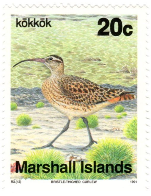 Marshall Islands Scott 351 (1990-1992: Bristle-thighed Curlew - Bird)