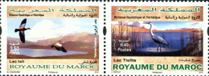 MOROCCO 2014 Fauna Birds Set of 2 Stamps *** MNH