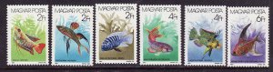 Hungary-Sc#3052-57-unused NH set-Saltwater Fish-Marine Life-1987-