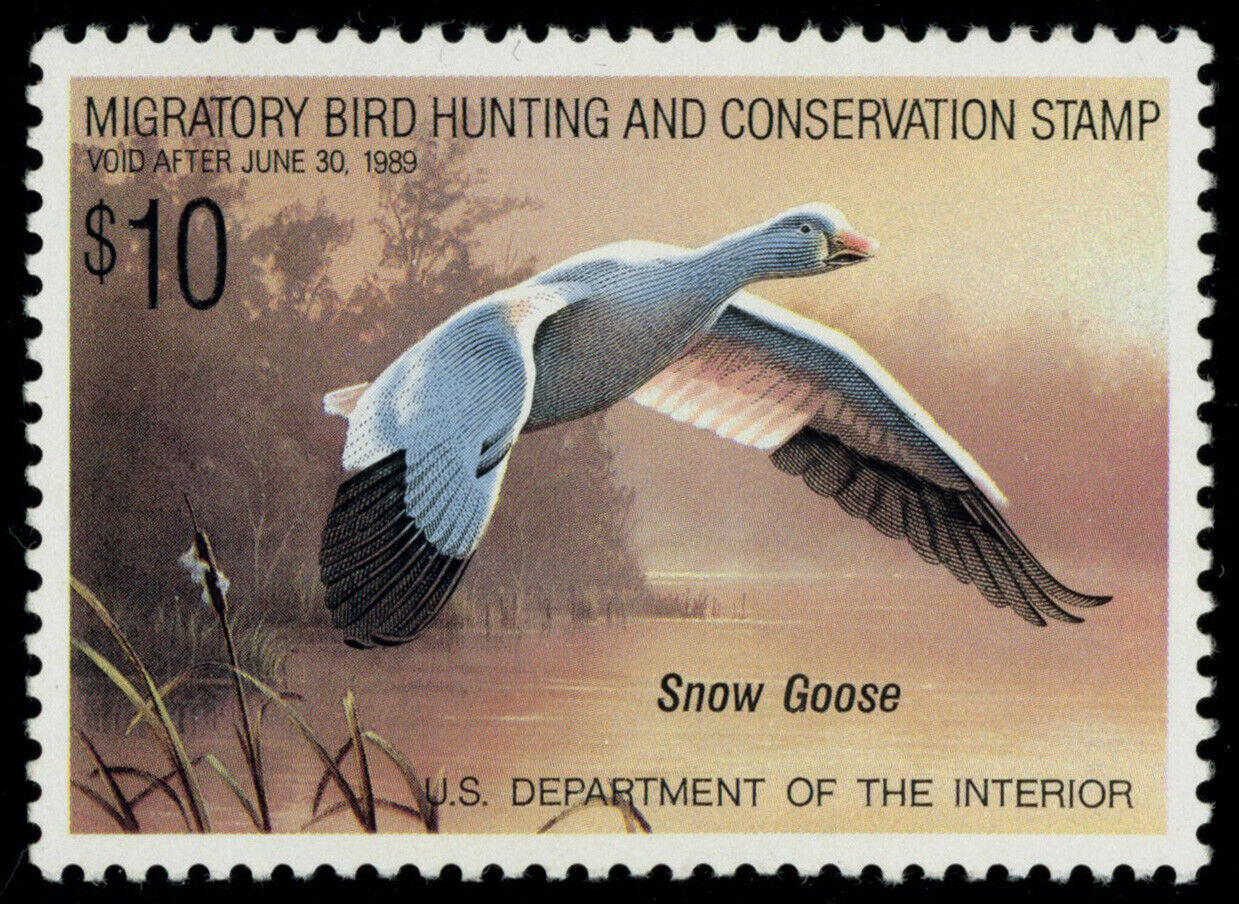 USA Scott RW 55 Mint NH PSE 98 SMQ 160 (53497) United States, Stamp