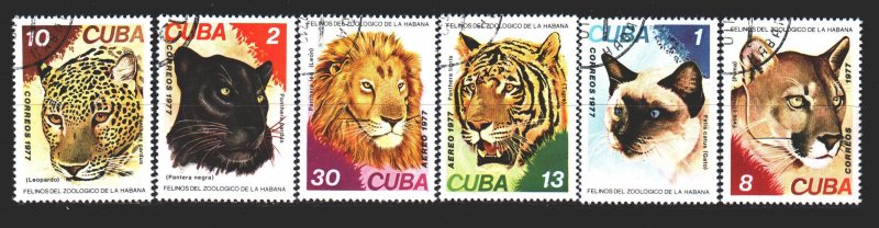 Cuba. 1977. 2257-62. Wild cats. USED.