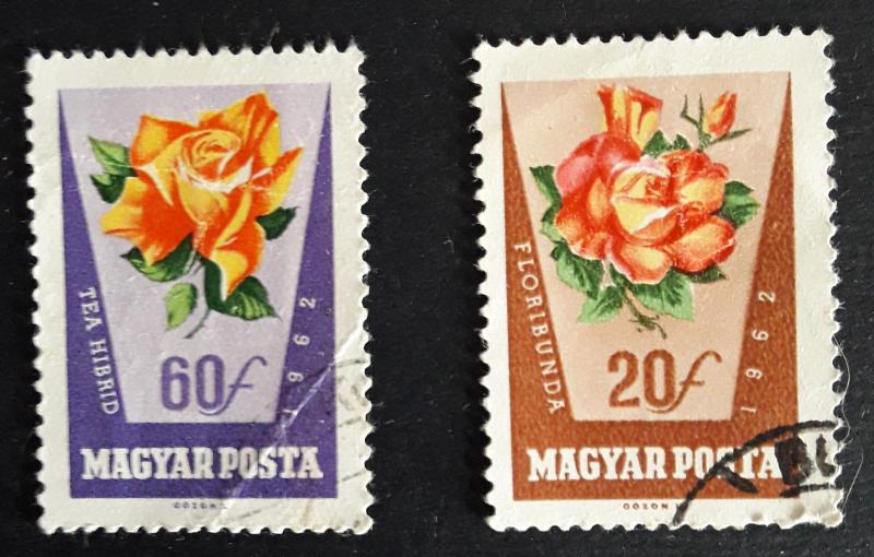 Flowers, 1962, (22-Т)