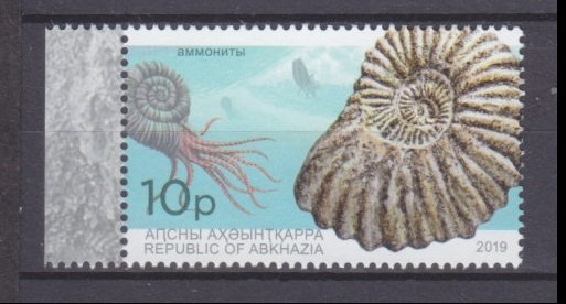 2019 Abkhazia Republic 1003 Sea shells