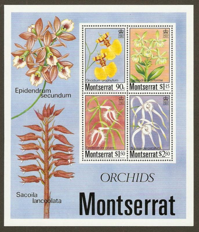 Montserrat #557a NH Orchids SS