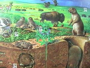 U.S.# 3506-MINT/NEVER HINGED--PANE OF 10---GREAT PLAINS PRAIRIE ---2001