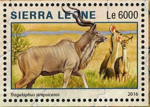 Park Chobe Stamp Botswana Loxodonta Africana S/S MNH #7222-7225