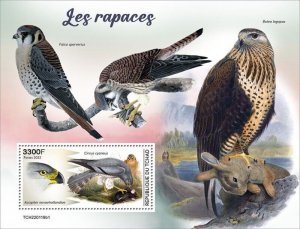 Chad - 2022 Birds of Prey, Hen Harrier - Stamp Souvenir Sheet - TCH220119b1