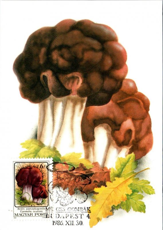 Hungary 3046-3051 Mushrooms Set of Six Maxi Cards U/A FDC