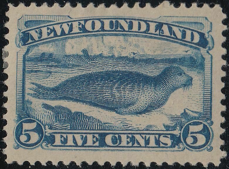 NEWFOUNDLAND 54 VF MH (42820)